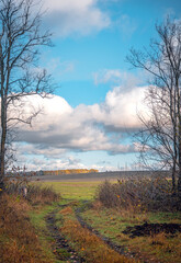 Obraz premium Autumn sunset