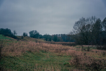 Obraz premium Summer landscape