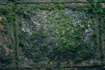 Old cracked stone