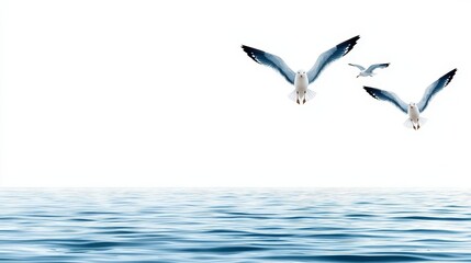 Fototapeta premium Seagulls in Flight Over Tranquil Ocean Waves Against Clear Sky Background