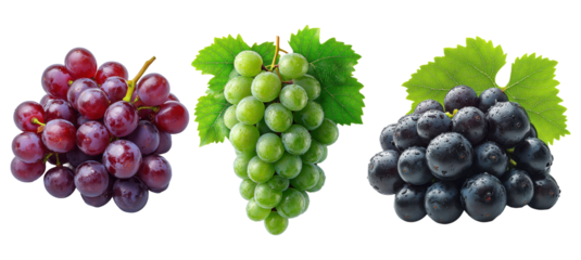 Fresh red, green, and black grape clusters with leaves on  transparent background