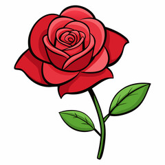 Red rose with leaves vector illustration