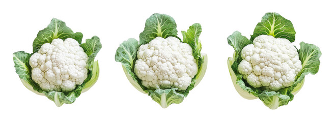 PNG Fresh cauliflower heads arranged in neat rows