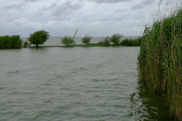 日本　霞ヶ浦：強い風で荒れる湖／茨城県かすみがうら市