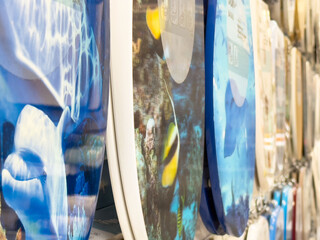 Colorful ocean-themed toilet seats on display in store aisle