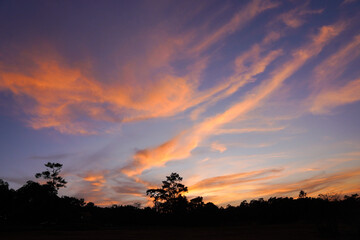 A stunning sunset displays vibrant orange and purple hues streaked across the sky, silhouetting trees against the colorful backdrop.