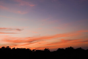 A serene sunset with a gradient sky, showcasing soft pink and orange clouds against a dark silhouette of treetops.