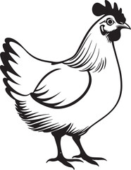 hen silhouette vector illustration