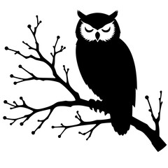Silhouette of an owl on a branch