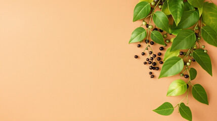 Fresh green leaves and peppercorns on warm background create vibrant display