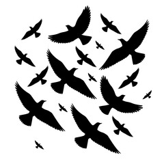 Silhouettes flying birds set on white background vector illustration