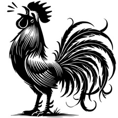 Silhouette of a crowing rooster