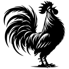 Silhouette of a crowing rooster