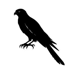 silhouette of a crow