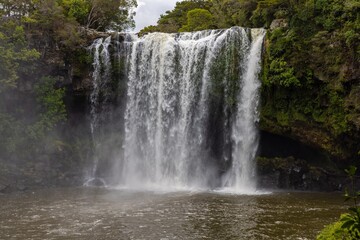 Obraz premium Powerful waterfall cascading down a dark cliff face, surrounded by lush green foliage. Nature's raw beauty. RAINBOW FALLS, KERIKERI, NZ