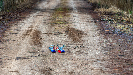 winter landscape without snow, lonely country road with trees on the side of the road, blue children's skis on the road