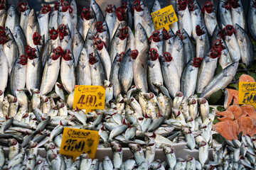 An assortment of fresh fish on ice at a local seafood market, with price tags displayed prominently...