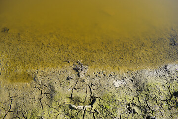 Polluted water and cracked soil during drought, Panoramic image over the half-dried Rhine with barge in the navigation channel, drought land so long waterless
