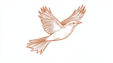 Obraz premium A detailed line drawing of a bird in flight, showcasing its wings and feathers.