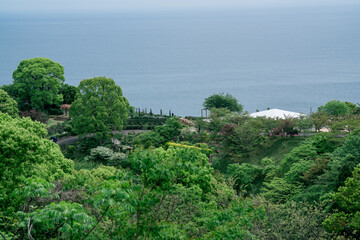 熱海の美しい海と植物の風景