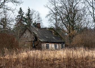 lonely rural landscape with an old and abandoned wooden building on the edge of the forest, winter