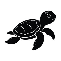 baby turtle vector illustration