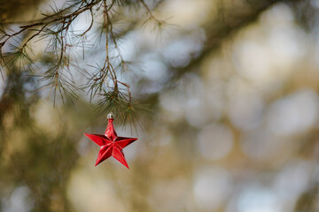 A single red star ornament hangs delicately from a pine branch, creating a festive and serene...