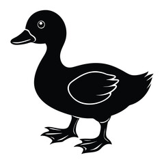silhouette of a baby duck  vector illustration