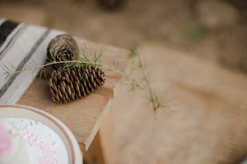 Rustic autumnal scene: pine cones and greenery rest on a light wood surface, near a striped fabric and a partially visible plate.