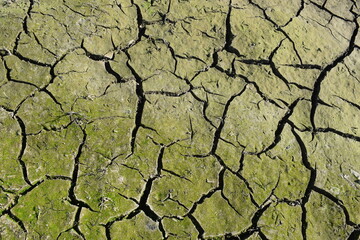dry cracked earth as texture, Surface structure of red rocks, close-up, the dried earth with clay and sand, close-up Hazro