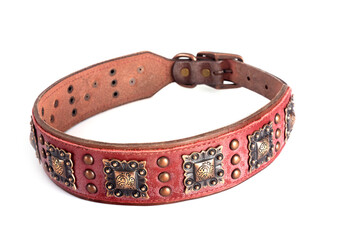 collar for dog