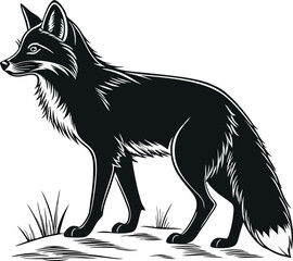 black fox vector on white background 