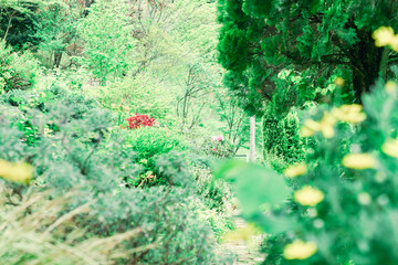 熱海の美しい風景