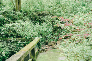 熱海の美しい風景