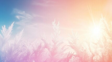 Chilly Morning with Soft Light and Ice Textures