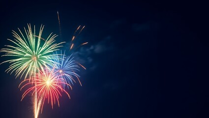 fireworks in the night sky
