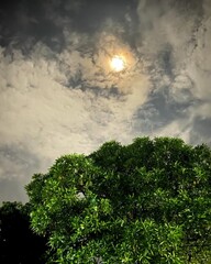 Fototapeta premium the moon in the sunny night sky 