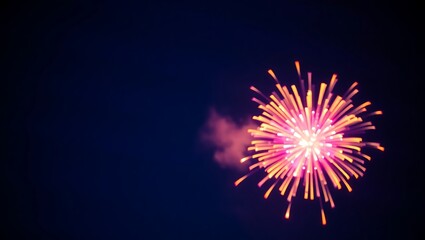 fireworks in the night sky