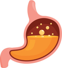 Gastric acid dissolving food in human stomach, digestive system concept
