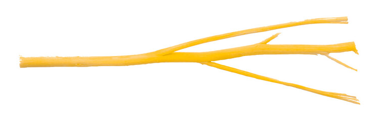 Yellow dry branch isolated on transparent background.