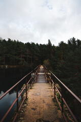 Fototapeta premium Puente de hierro en el bosque al lado de un embalse
