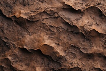 The texture of the soil is a brown color, top view, 