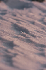 Nieve moldeada por el viento