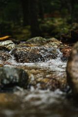 Agua de río cayendo por una roca en el bosque