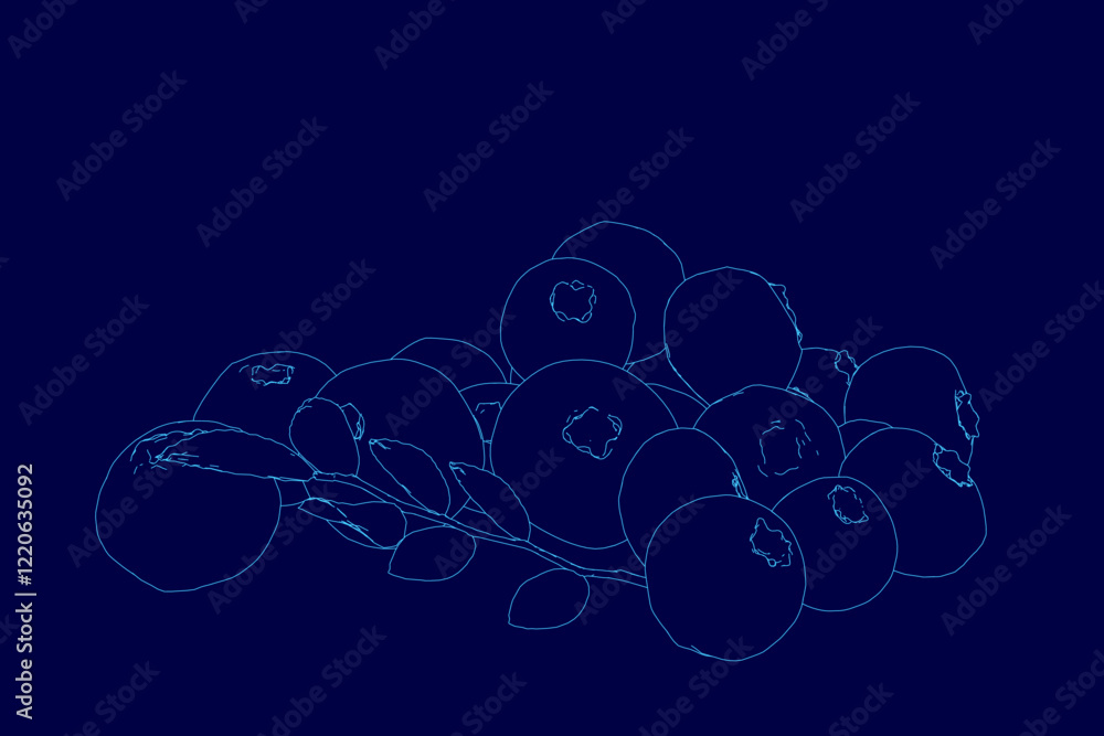 Poster blue background with a bunch of outline blueberries. the circles are all different sizes and are arr
