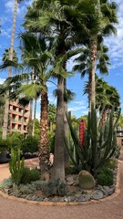 Fototapeta premium So much of the world to explore every day!