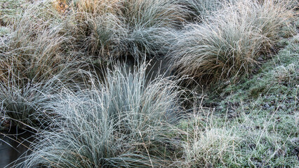 Beautiful atmospheric Winter sunrise landscape image of frozen fields and grasses with sun glow on the frosty ground
