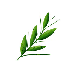 Naklejka premium Wonderful spring greenbranch with leaves. Watercolor digital illustration, isolated object from a large set. For the design, decoration and composition of postcards, posters, stickers, prints