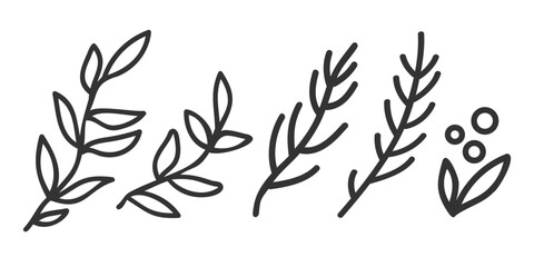 Vector set icons of plants in flat style. Hand drawing sinple plants in line art style.