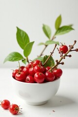 Fresh Honeyberry branches in a white ceramic bowl, spring, white, botanical